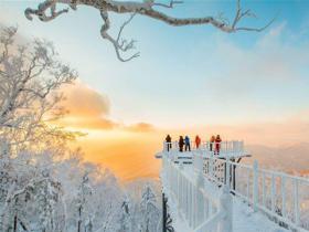 黑龍江研究全省全域旅游和冰雪旅游發(fā)展規(guī)劃