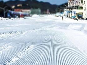 《教育部等四部門關(guān)于加快推進全國青少年冰雪運動進校園的指導(dǎo)意見》全文