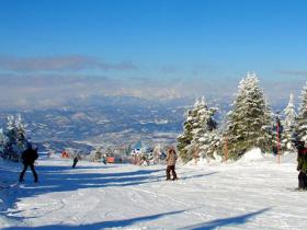 全國滑雪場聯(lián)盟辦冰雪運動與營地教育發(fā)展論壇