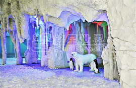 石家莊西部長青室內滑雪館開業(yè)啦2