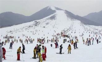 崇禮滑雪場開了嗎？什么時候開放？
