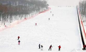崇禮多樂美地滑雪場有多少條滑雪道？